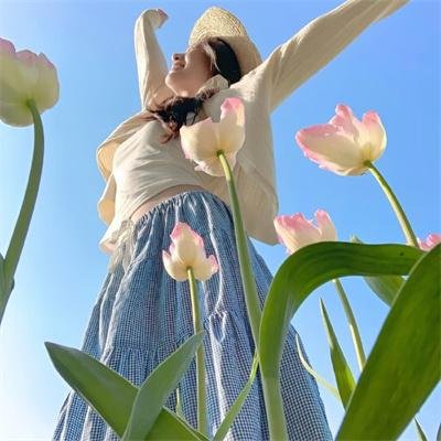 宫廷音乐会